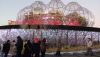 IMG_20250107_170744.thumb.jpg.e8f0a3cd0e4981a6994dd19959e60abb.jpg