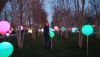 IMG_20250107_172551.thumb.jpg.63b75358ebe9d26b8b0c8f5fb6cd02c7.jpg