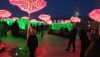 IMG_20250107_173626.thumb.jpg.1f7a048ac55f863d0a0354b6fdee8022.jpg