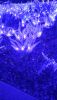 IMG_20250107_181059.thumb.jpg.436453fefa9cec9c1ae2b9d5b343c430.jpg