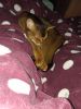 IMG_20250108_023120.thumb.jpg.bf099af0a139bf4d2b85bb79d44c806b.jpg