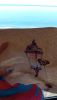 IMG_20250109_104215.thumb.jpg.09536a7daf863bffa6c6c70efd183fa1.jpg