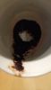 IMG_20250110_165750.thumb.jpg.34b4d048cc573399cc33416c74f0dc99.jpg