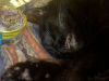 IMG_20250112_212955.thumb.jpg.94effe21c0b613390e63aaccd373d4a1.jpg