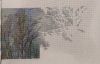 IMG_20250114_170632.thumb.jpg.7a033ae722caf60e09b52f126fdd1c14.jpg