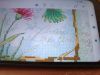 IMG_20250116_121740.thumb.jpg.aa57f1bc699e58f0fc2322106ab42178.jpg