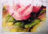 IMG_20250118_024705.thumb.jpg.86db1fa4c6c037aed6516a458c4715a9.jpg