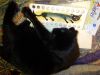 IMG_20250120_170709.thumb.jpg.9537de02f8b8b12699e9878b686752ec.jpg