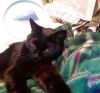 IMG_20250120_200301-2.thumb.jpg.632a3f6304ae3fdb070aa5505fc7d21f.jpg