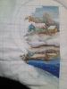 IMG_20250123_224526.thumb.jpg.6239327da4bd6eef0965ed47a373f362.jpg