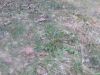 IMG_20250128_164651.thumb.jpg.41a9e0c5a5bd799ec3adfc39687e1cd1.jpg