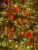 IMG_20250131_191229.thumb.jpg.8963898e60a2a15ceb952b24d300ed74.jpg