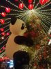 IMG_20250131_192340.thumb.jpg.ee35832fa176e80c25eca99cb26f72b2.jpg