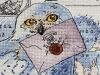 IMG_2310.jpeg