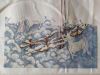 IMG_2643.thumb.jpeg.7f16d50b9cad413d320711ffad2f5c27.jpeg
