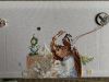 IMG_5217.thumb.jpeg.f279bfb6f6c7037705f5f10289d75242.jpeg
