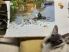 IMG_7791.jpeg