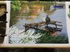 IMG_8023.jpeg
