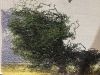 IMG_9463.thumb.jpeg.eaec3f31c17a07aa5803a97efeeefe09.jpeg
