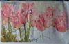 Tulips8.thumb.jpg.468de5a957abbb36c4a04ff83acd81da.jpg
