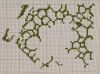 upload_2025_01_07_05_14_49_900.thumb.jpg.66dfda937a72a708c1a5138e22268361.jpg