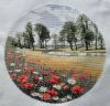 1047112974_.jpg.cba8adfb5d1e8e1bcb3488eb36c051e7.thumb.jpg.acb3fad16efc72cc80911e13da1b6ea8.jpg