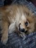 1308002236_.thumb.jpg.2993b7f49eb4e8700701a5351848f79b.jpg