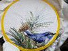 20230414_101011.thumb.jpg.c9d0e376174d120019e4957526a6a169.jpg?1739796181444