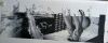 20240704_121438.thumb.jpg.0efda352d2ff9ba745f43cad047552ef.jpg