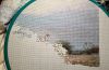20250221_180509.thumb.jpg.1ced3b489b268890b5b010b7750a9508.jpg