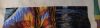 20250221_215815.thumb.jpg.3e5bd4c79341dd3d2d2a71f6e699b350.jpg
