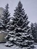 275690792_.thumb.jpg.5a8b0731628a8f81c9b4d0b7d7e9c03e.jpg