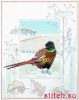 Derwentwater WIL7, Pheasant