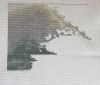 92C886CE-49BD-4705-9F61-7F6560F12757.jpeg.ab92d51c98ff12208e18c642cac44981.thumb.jpeg.4e092a997c1baaa37092a43525f9f8aa.jpeg