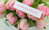 99656179_.thumb.png.9c7db4ddc588d70ede741f6f5c126b3a.png