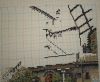 DSC08623.thumb.JPG.bcb56e9455633b005e87cdd8d2a3a744.JPG