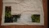 DSC_0468.thumb.JPG.a40fdfaee2ca9134e3fbb7267e366f00.JPG