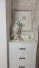 IMG-20250130-WA0012.thumb.jpg.fb7a1f1cc1d511d3f2204604306d0cc3.jpg