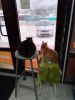 IMG-20250219-WA0048.thumb.jpg.0b6580010260e81610e478ab78bda9c1.jpg