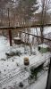 IMG-20250224-WA0017.thumb.jpeg.65d54e8c7f45750f6ffa7c41080f20f8.jpeg