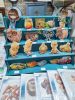 IMG20250221112007.thumb.jpg.c6cfa2039b216acd51990306fd35c6df.jpg