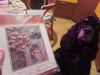 IMG20250221191802_01.thumb.jpg.2cddcb213224cce07eb6d4e770a3c2ec.jpg
