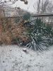 IMG20250224113229.thumb.jpg.c6b68e6619dce8b7ded47ec0f13852ba.jpg