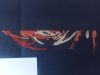 IMG20250224140631.jpg