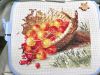 IMG_20230722_114927.thumb.jpg.bfb13a6541a8859a8299cef4a7f1c25b.jpg