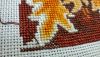 IMG_20240508_232942.thumb.jpg.9a3004bc6d0267ef6b4d68ef0bc44e80.jpg