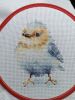 IMG_20240511_212501.thumb.jpg.be206af65a32a2d0fb842fa64b5e9153.jpg
