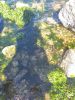 IMG_20240912_135815.thumb.jpg.cd9569e36ca4ca52913dc0f41d409170.jpg