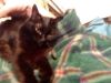 IMG_20250202_181835.thumb.jpg.c956f34eaa9c362deac868c58a8553b8.jpg