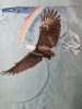 IMG_20250203_215752.thumb.jpg.662c899327f67f378a425a989bca8510.jpg?1738598316103